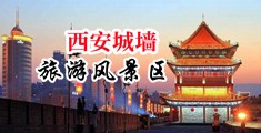 美女白虎被操出白浆中国陕西-西安城墙旅游风景区